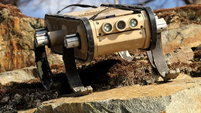 RHex robot traversing rocky ground using curved legs.